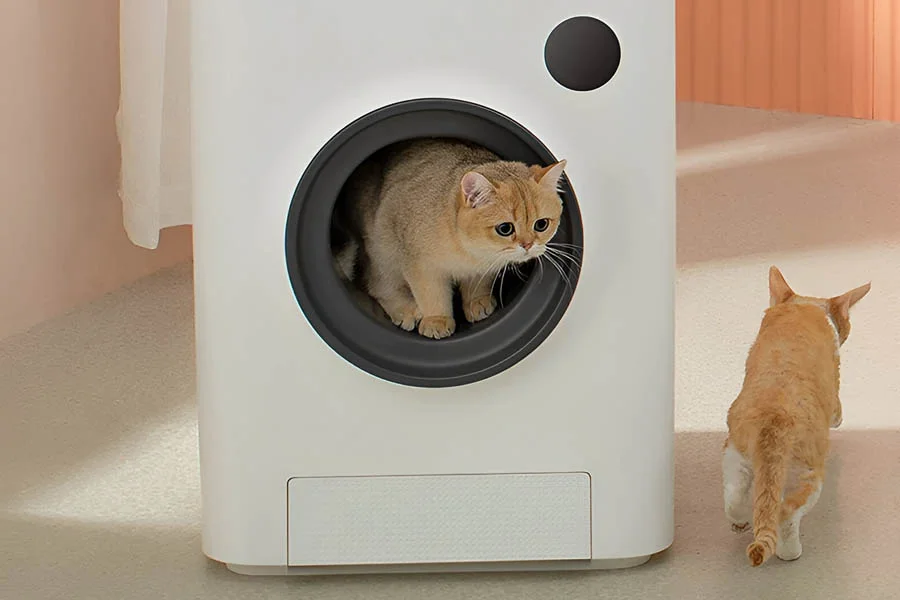 self cleaning litter box reviews